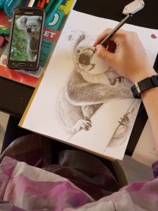 pencil sketch of a koala bear