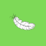 lime feather learning logo - white feather